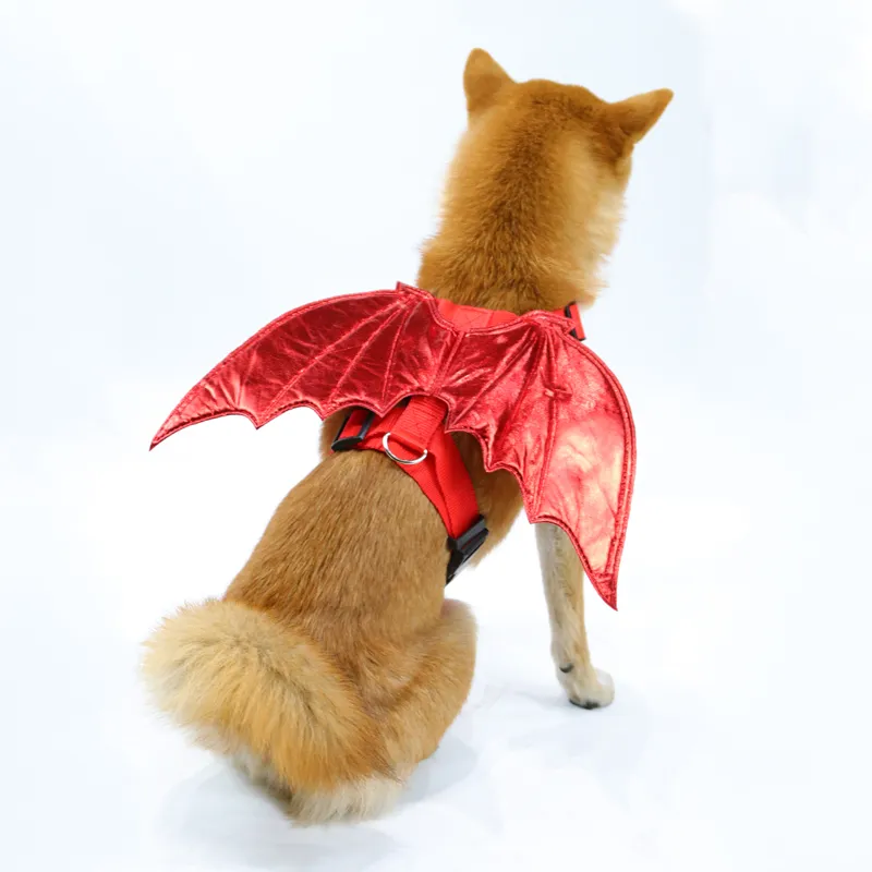 Pet Halloween Costume 5