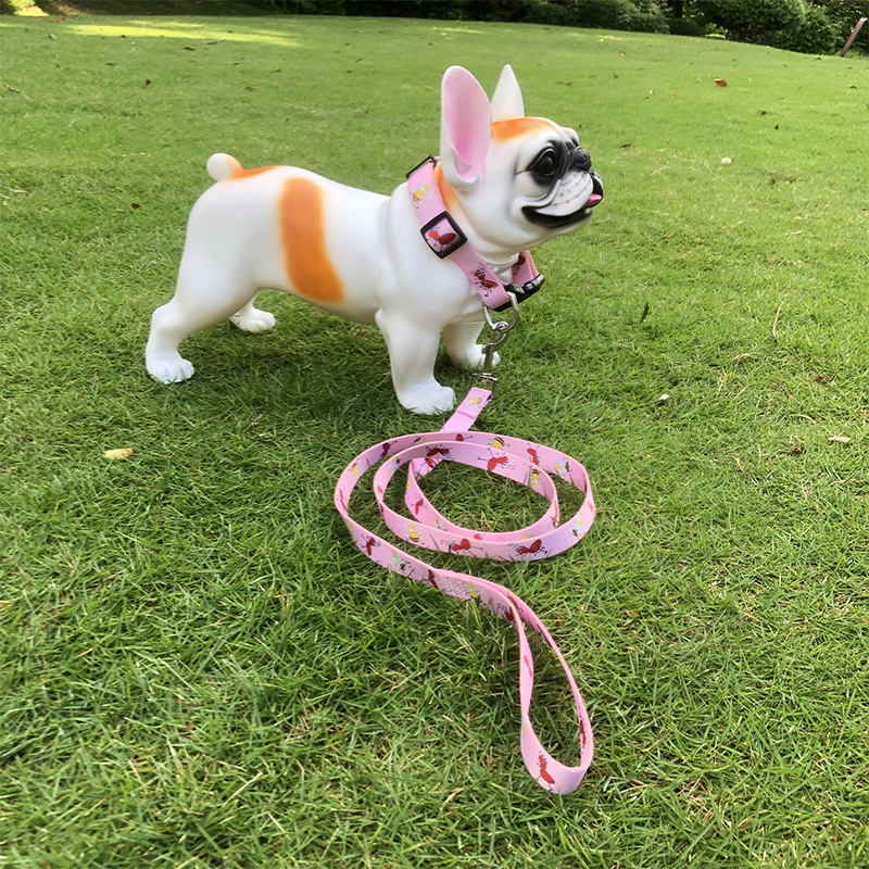 Adjustable Pet Collar Leash, Dog Leash, Dog Collar, Dog Rope, Heat Transfer Dog Rope, Dog Training Collar Leash, Promotional Dog Leash