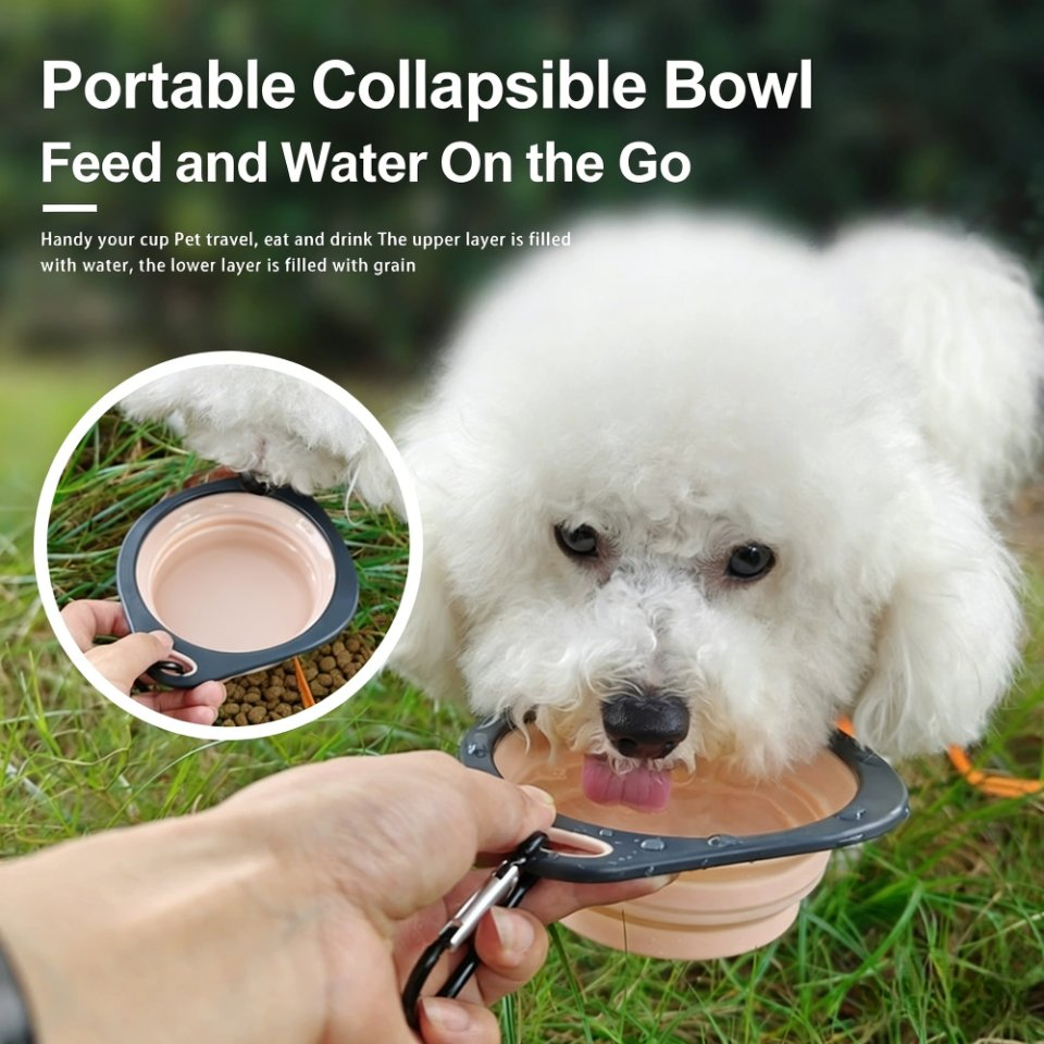 Collapsible Silicone Pet Bowl with Carabiner Portable Travel Pet Feeding Water Bowl for Dogs Cats Outdoor Use