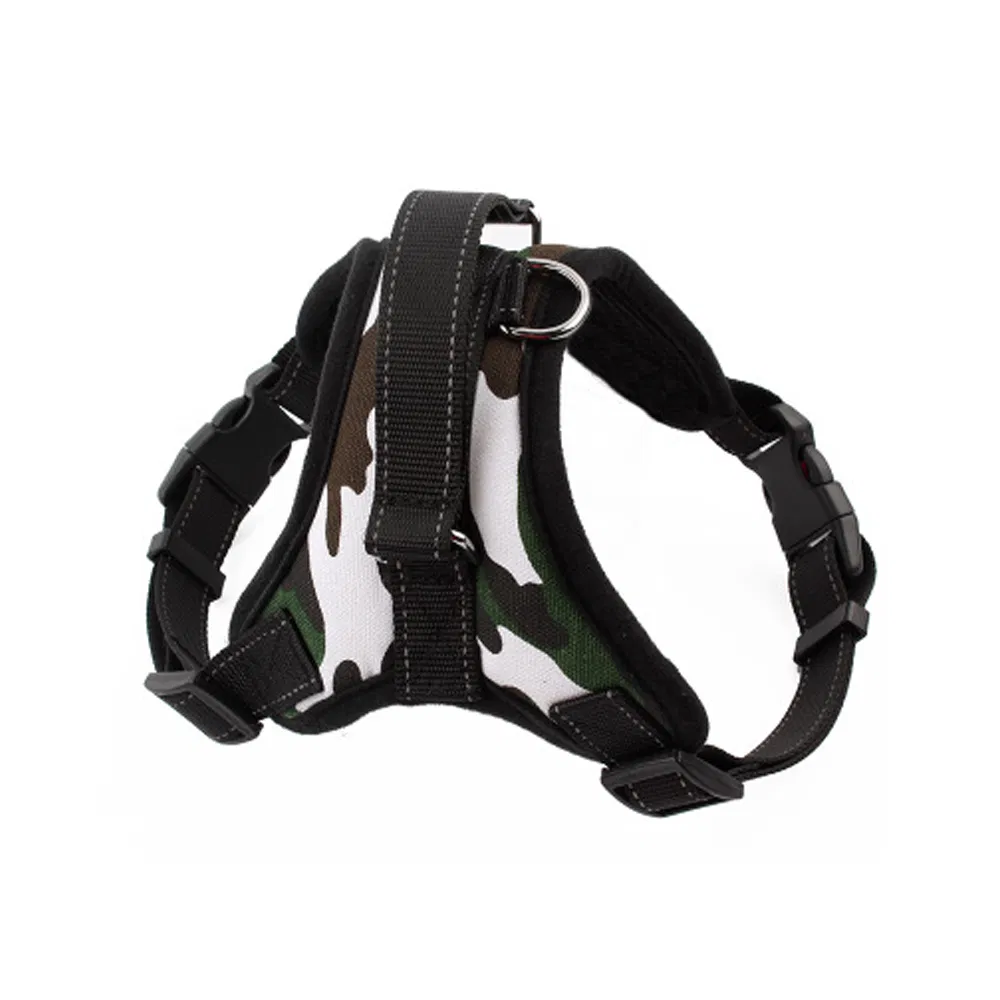 Dog Leash Product View 4