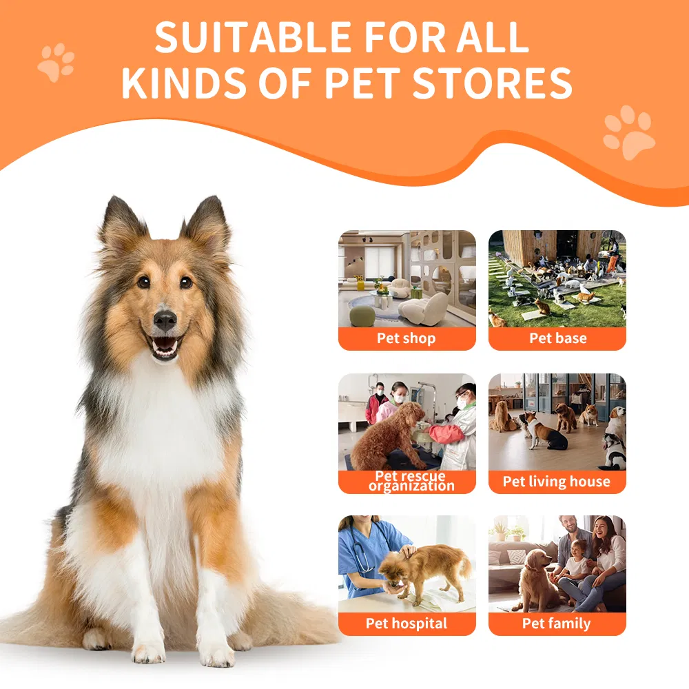 350L Medium-Sized Commercial Dual Control High-Efficiency Negative Ion Health Sterilization Pet Dryer