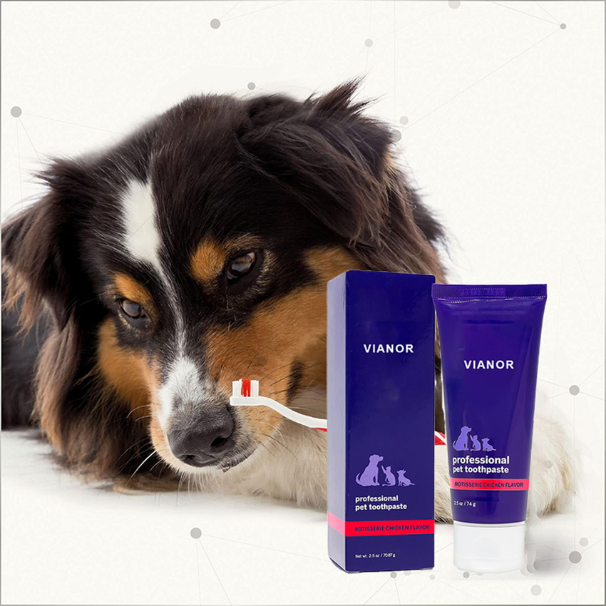 Factory Wholesale 75g Vanilla Flavour Dog Dental Care Pet Cat Dog Toothpaste