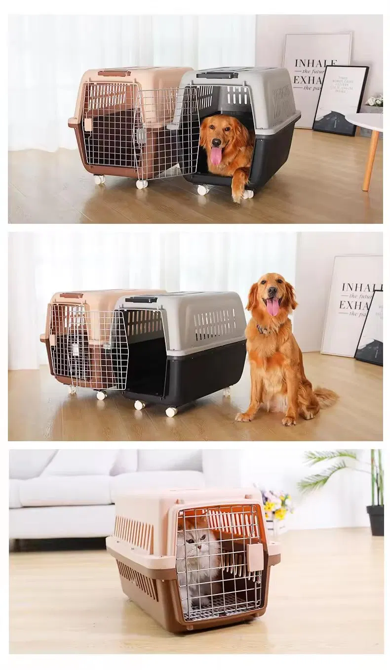 Pet Carrier Dimensions