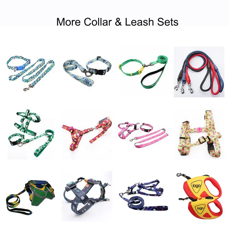 Dog Leash 9