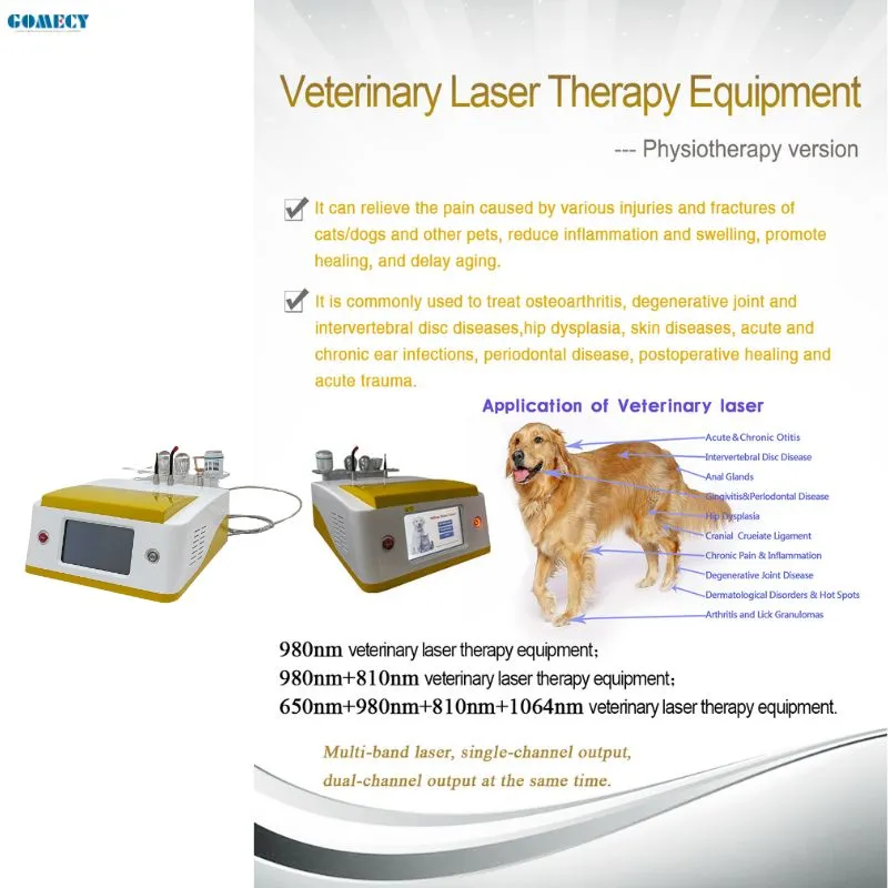 Animal Therapy Device Feature 2