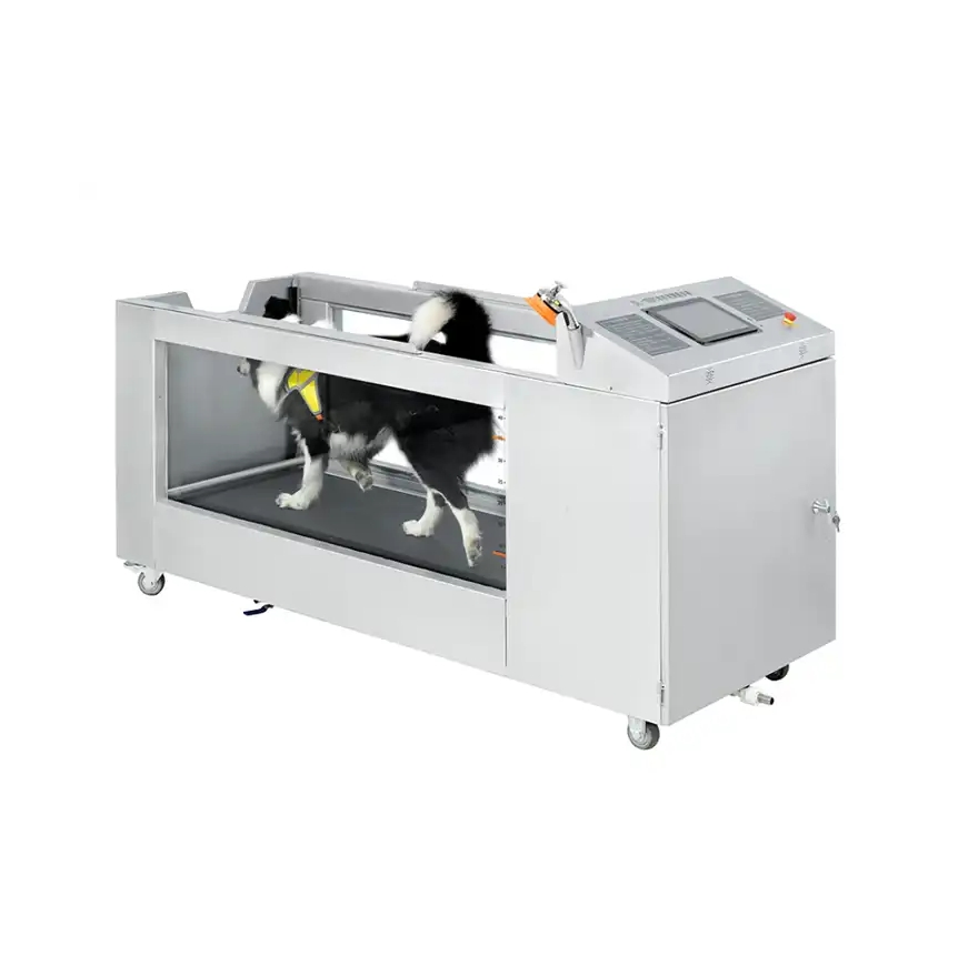 Veterinary Pet SPA Health SPA with Underwater Dog Treadmill Monitoring Devices for Pets