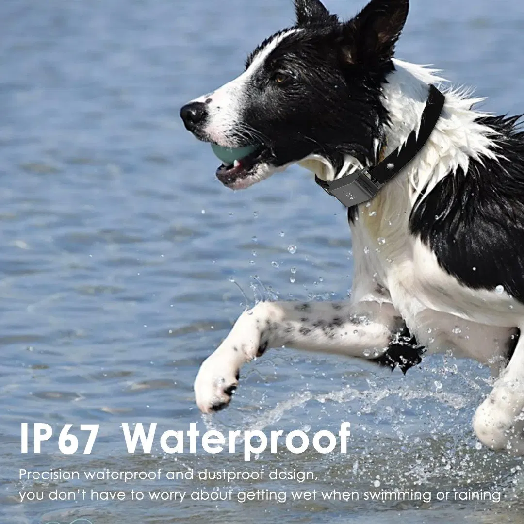 Real-Time GPS Pet Tracker Collar with Waterproof IP65 Health Monitor Pet Products