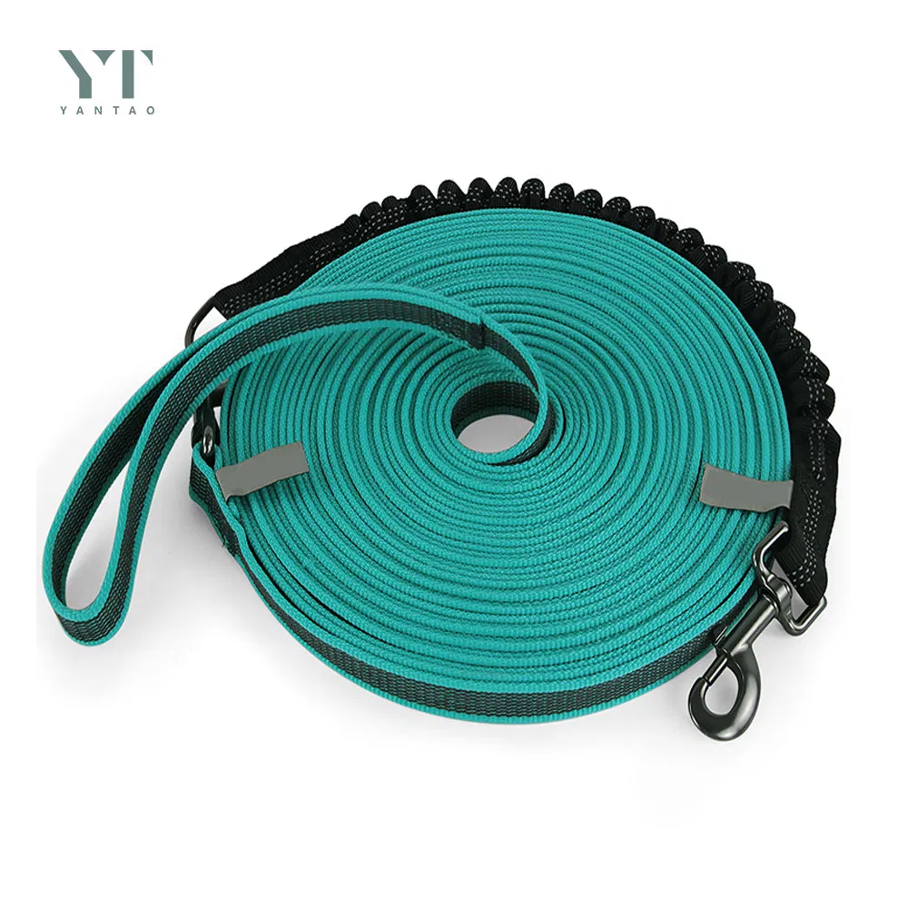 Pet Products Factory Wholesale Custom Label Dog Leads Collars Nylon Adjustable Pet Dog Leash with Non-Slip Tape