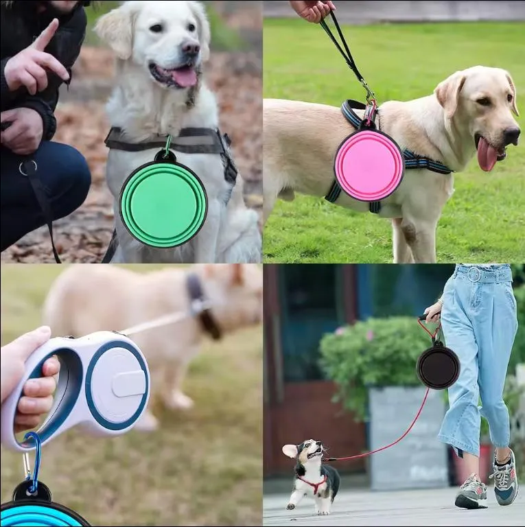 Collapsable Dog Bowl 9