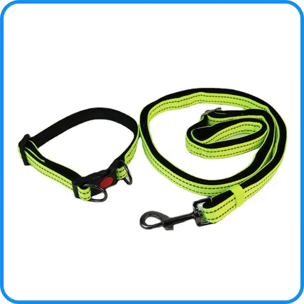 Pet Dog Leash