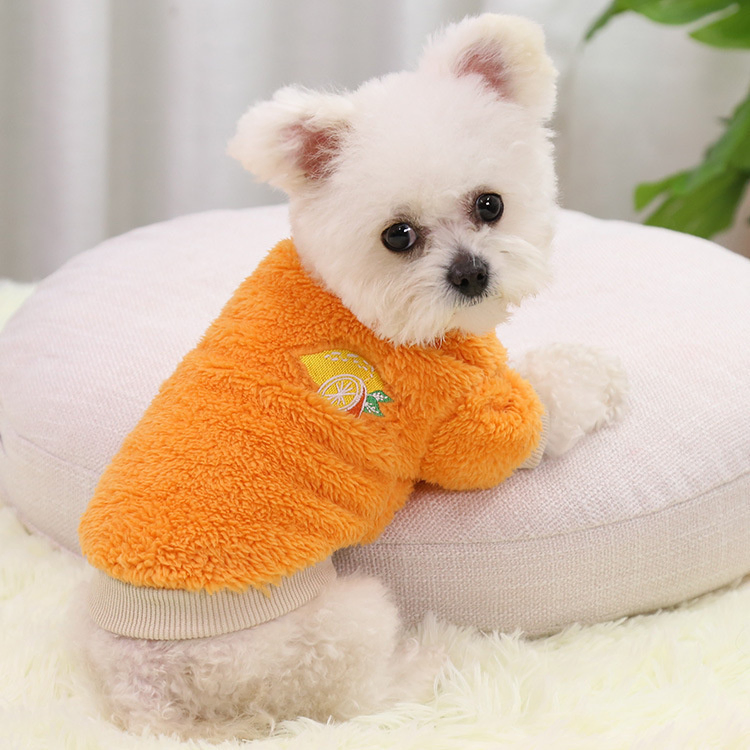 Warm Two-Leg Dog Apparel for Small Dogs Winter Use