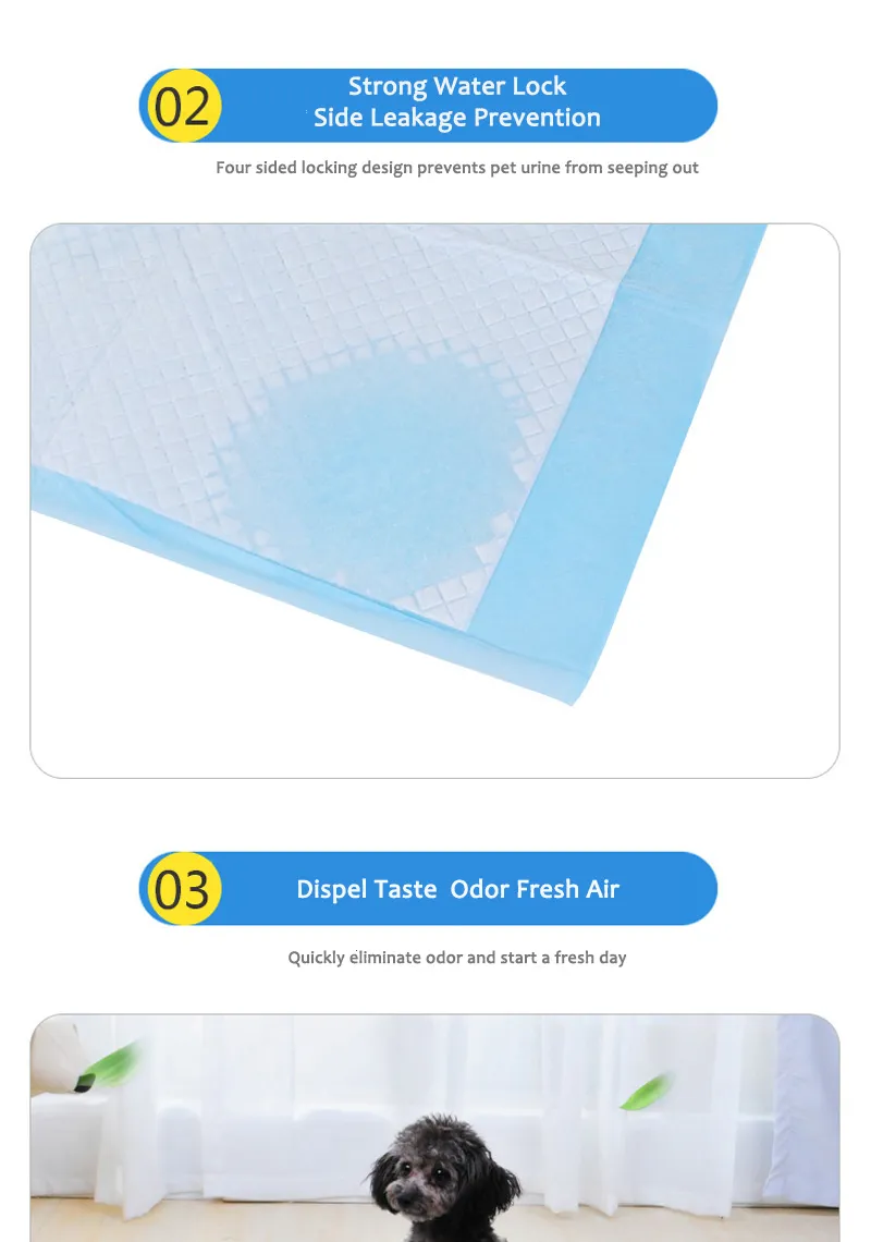 Sanitary Underpad Training