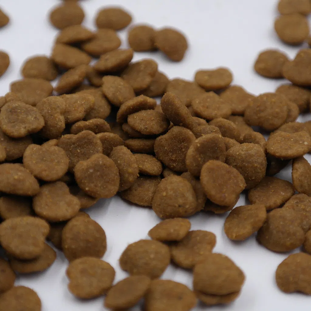 Dental Cat Chews Dental Care Cat Supply Mini Dental Care