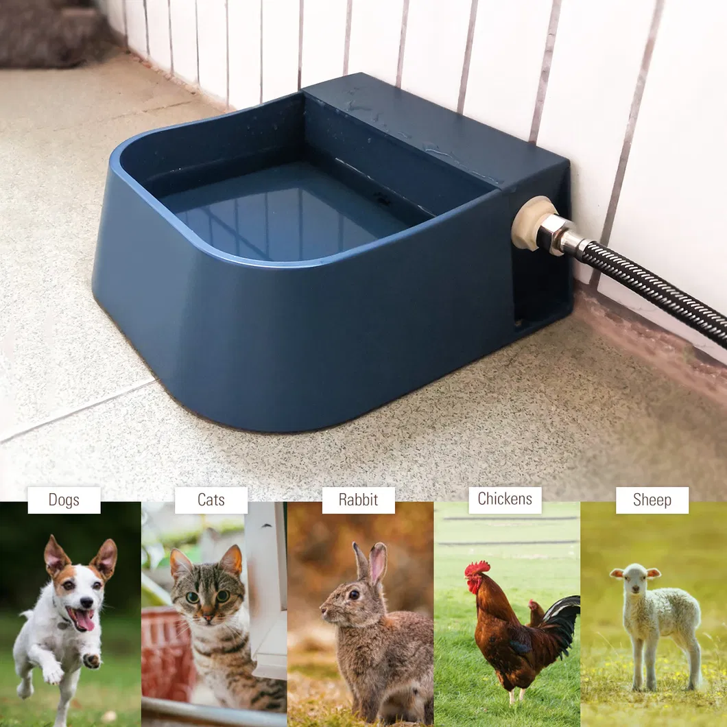 Pet Bowl Storage
