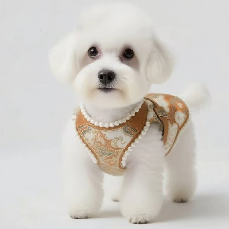 Customized Puppy Bichon Frise Pet Clothes Pets Walking Harness
