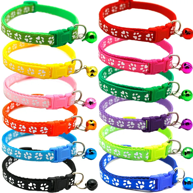 Pet Training Collar