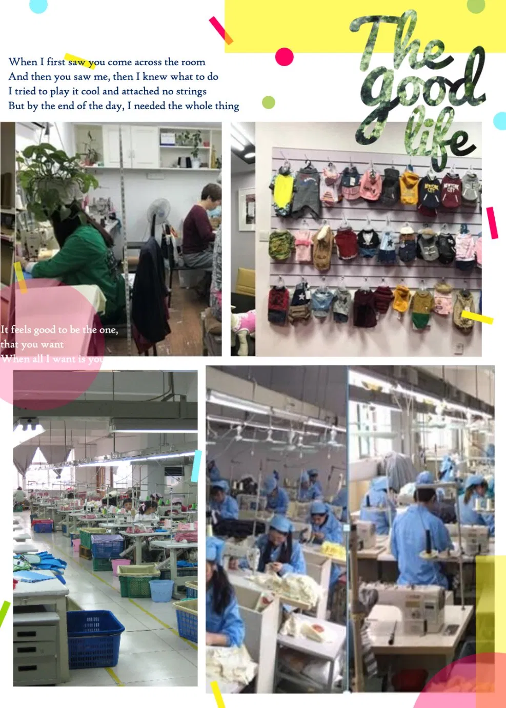 Manufacture Pet Toys Dog Toys Dog Accessories