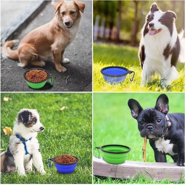 Collapsable Dog Bowl 8