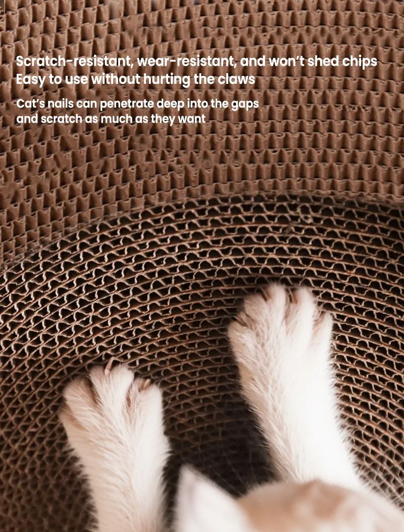 Cat scratcher display 4