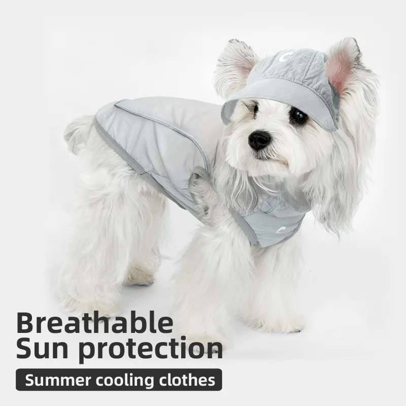 Pet Clothes Detail 1