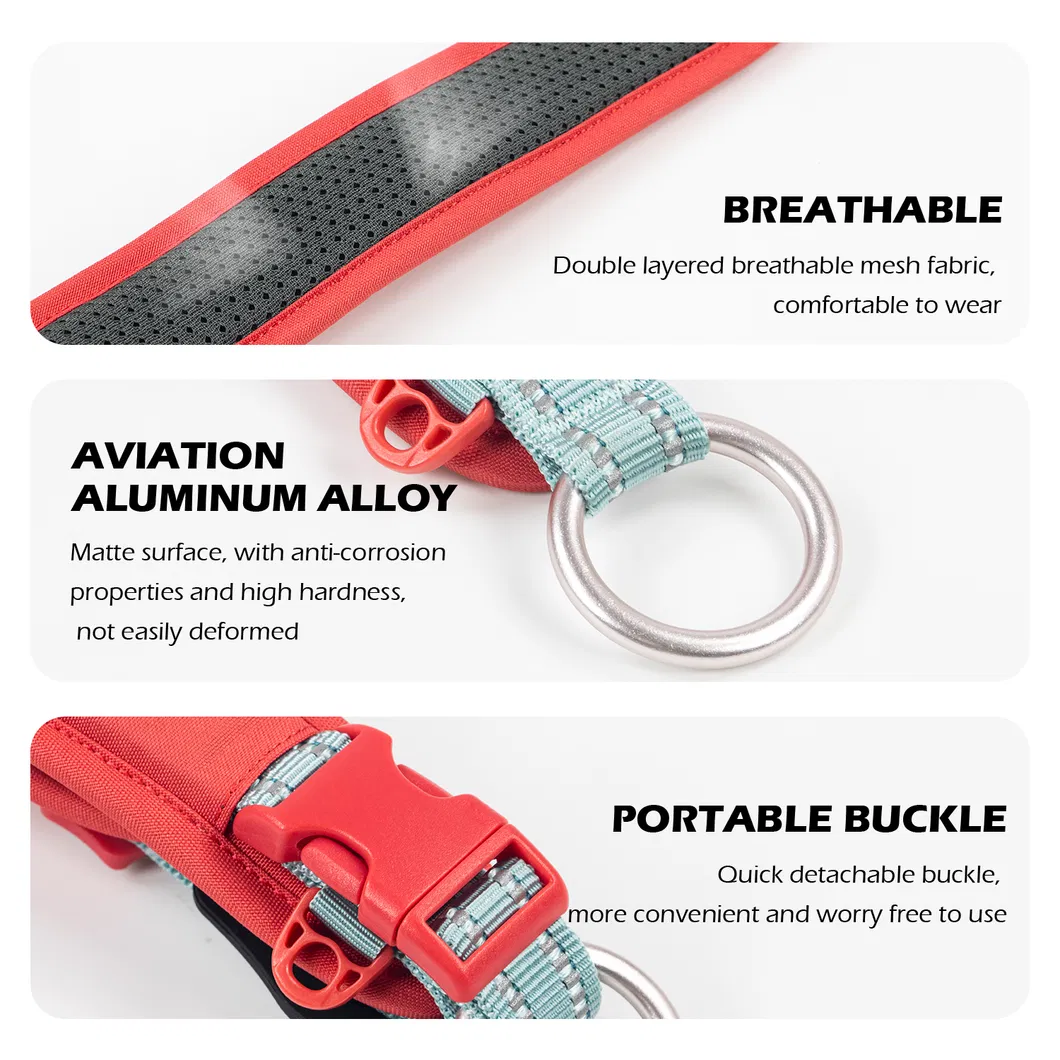 Adjustable Pet Collar