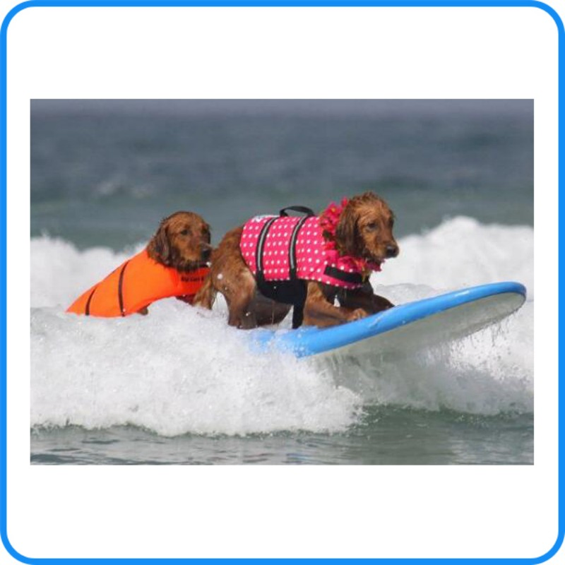 Factory High Quality Pet Safety Dog Life Vest Clothes