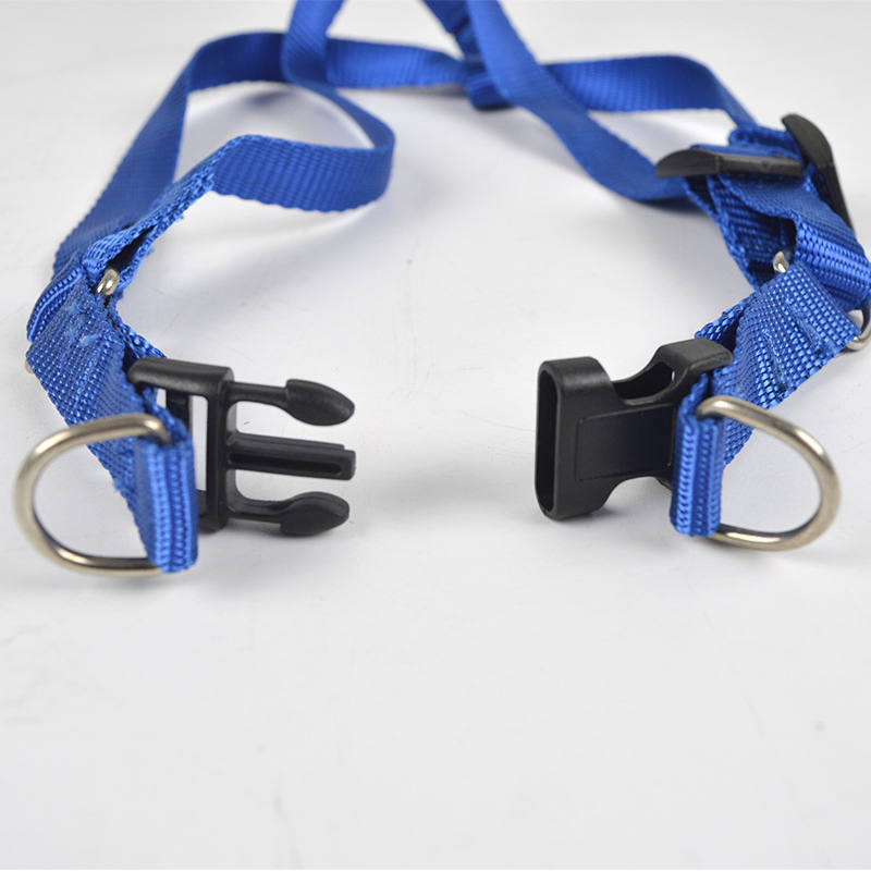 Chain Adjustable Loop Slip Rope Pet Dog Collar &amp; Leash