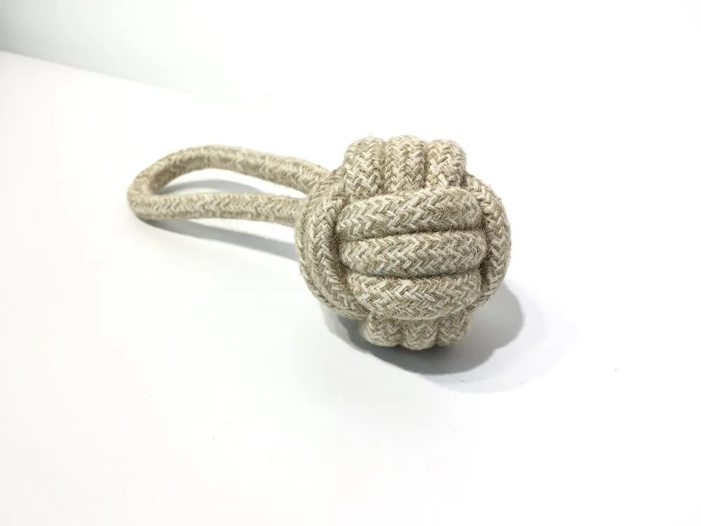 Pet Accessory Training Toy