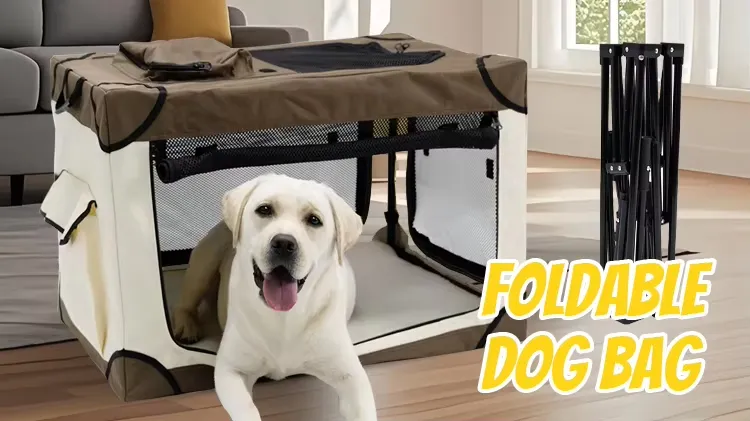 Versatile Handheld Pet Carrier