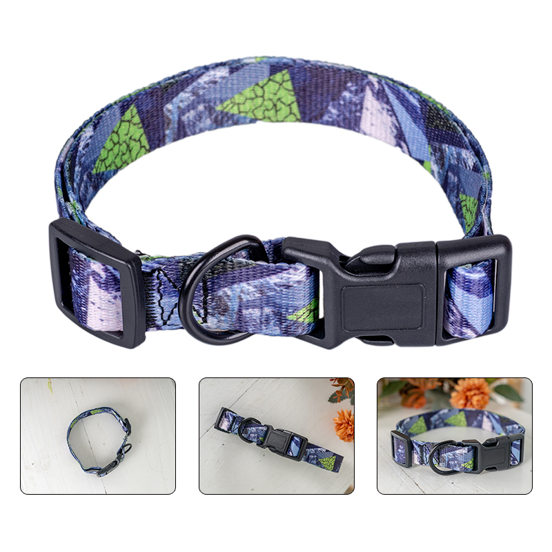 Rena Pet RPET Comfortale Fully Adjustable Printing Adjustable Safety Durable Dog Collar Harness Leash Lead