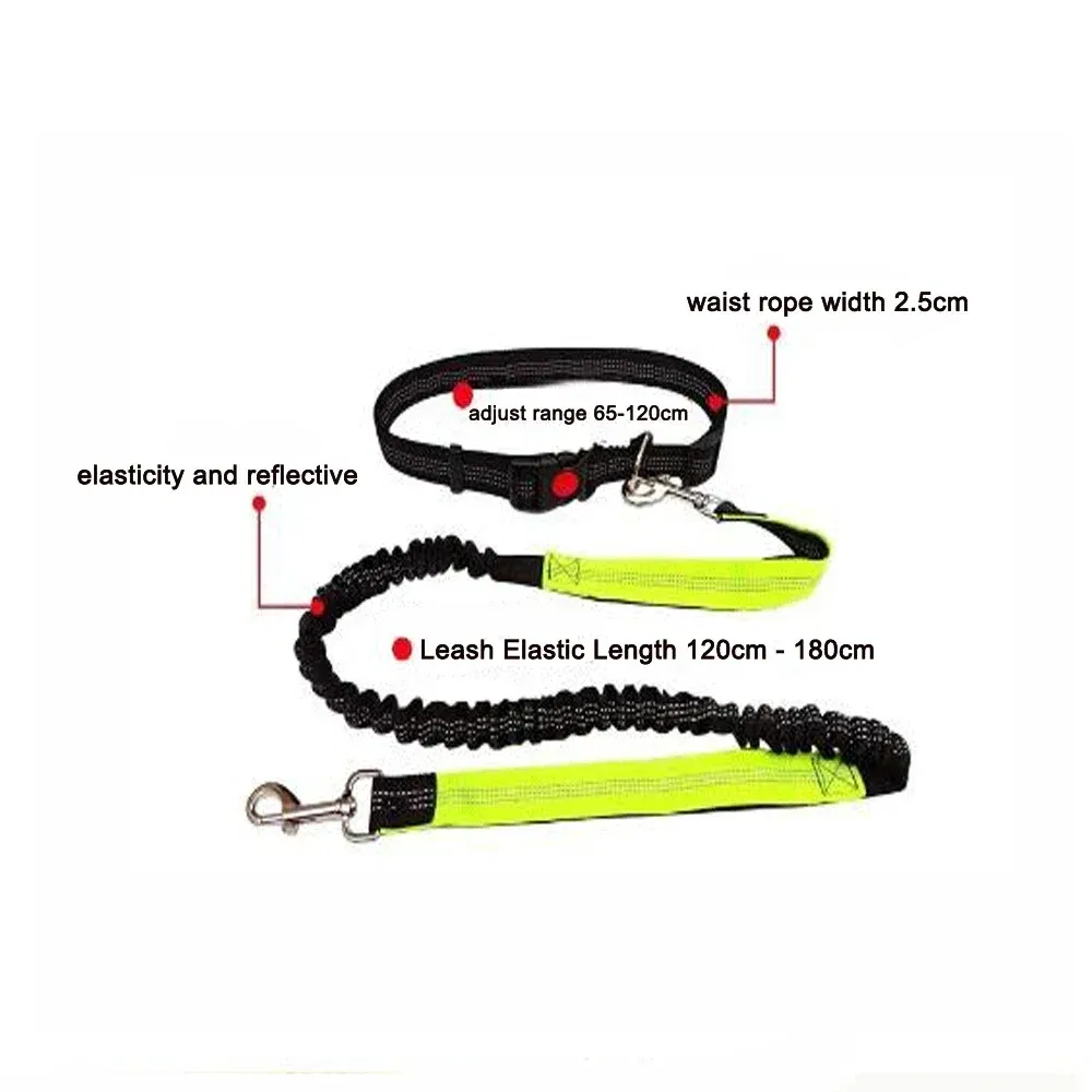 Dogs Leash Running Elasticity Hand Freely Pet Products Dogs Harness Collar Jogging Lead and Adjustable Waist Rope