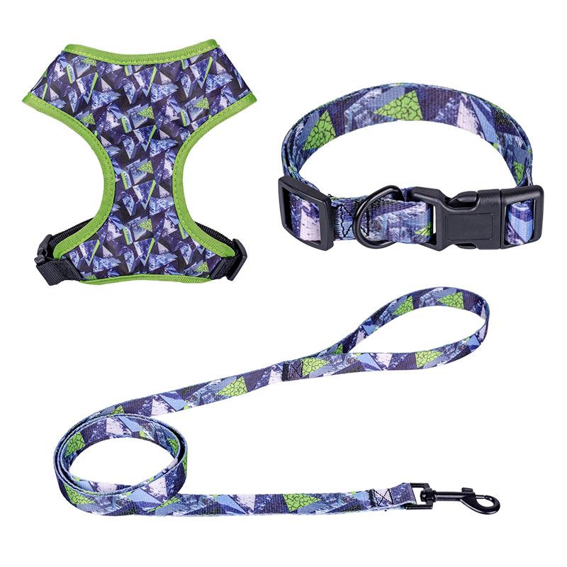 Rena Pet RPET Comfortale Fully Adjustable Printing Adjustable Safety Durable Dog Collar Harness Leash Lead