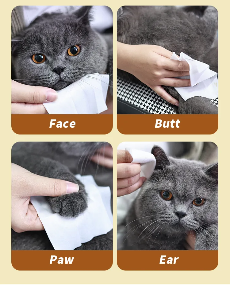 Bulk Pet Cleaning Supplies