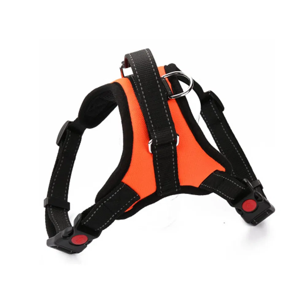 Dog Leash Product View 1