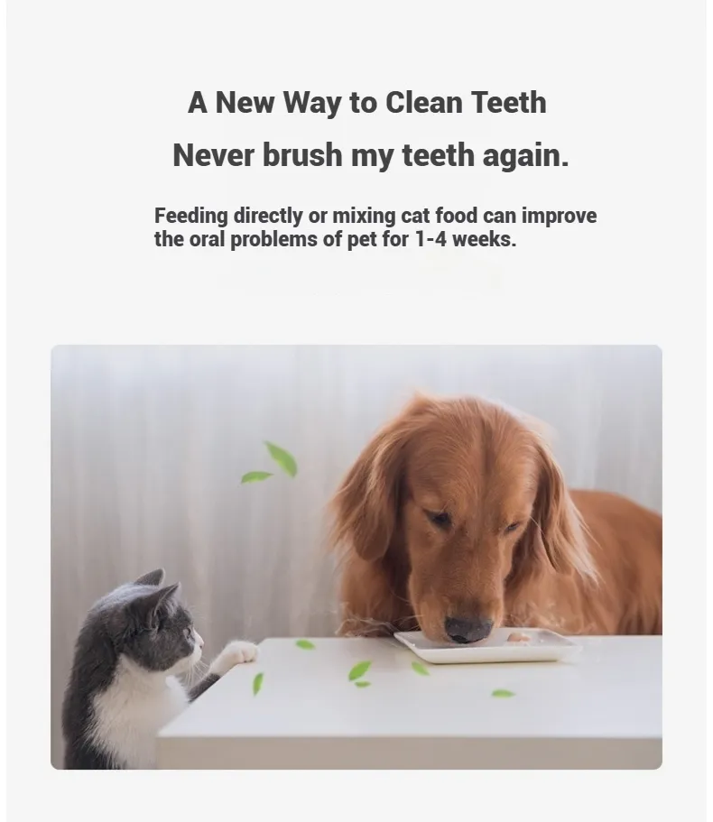 Pet Dental Care 9