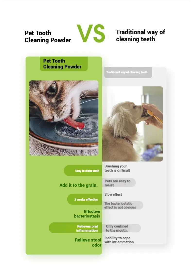 Pet Dental Care 10