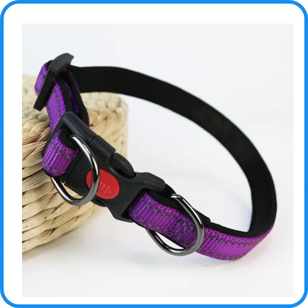 Pet Dog Leash
