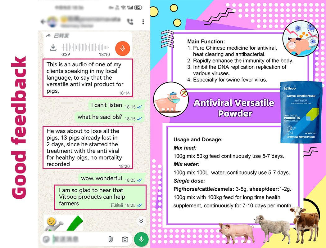 Reasons and Solutions for Sows Not Eating After Parturition Pig Healthcare Booster