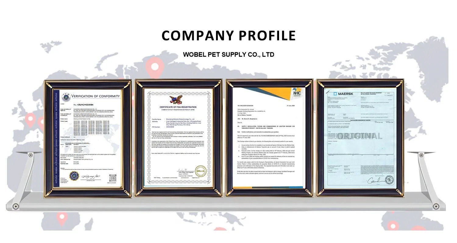 Bulk Dental Care Supplier OEM