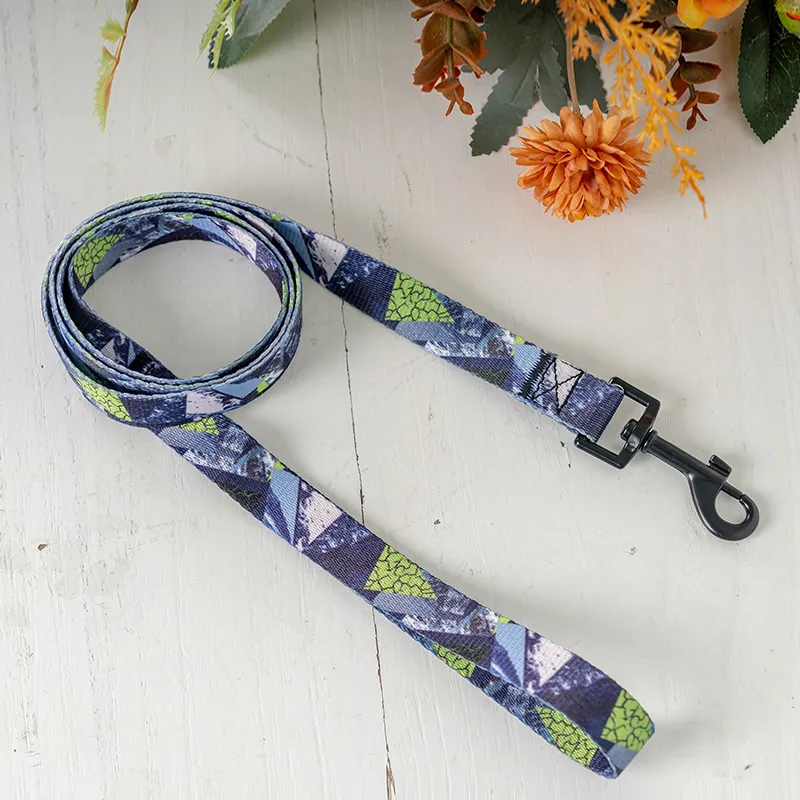 Dog Collar Detail 7