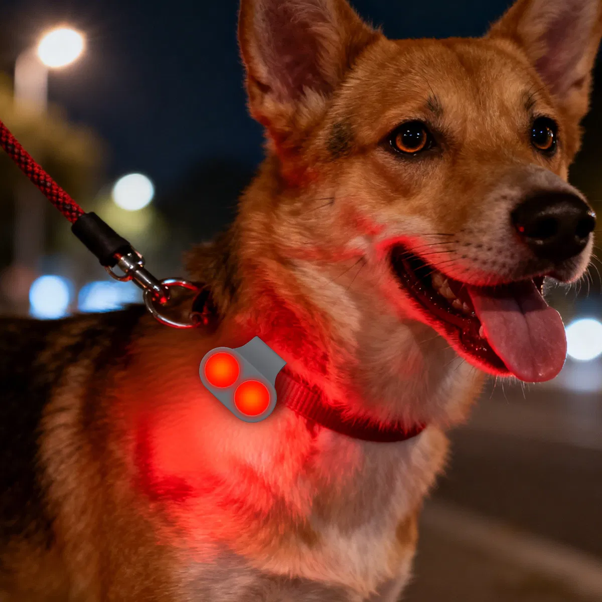 Magnet Clip on Design LED Pets Safety Light for Dog and Cat