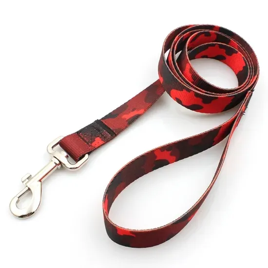 Dog Leash 7