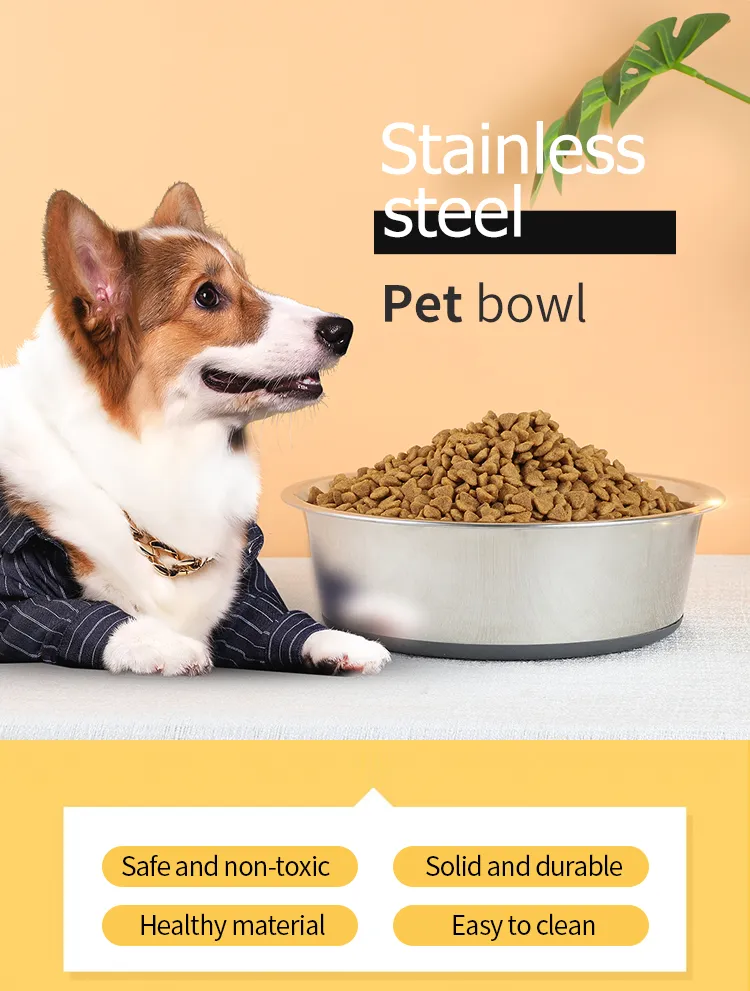 Pet Feeding Bowl