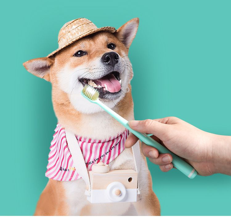 Pet Dog Toothbrush Oral Cleaning Care Teeth Soft Long Toothbrush Pet Supplies Wholesale for Medium and Large Dogs