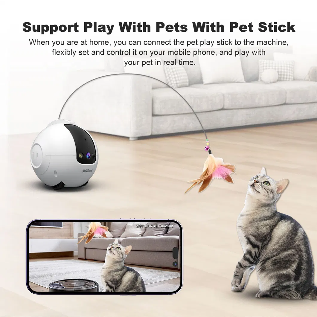 Pet Monitoring Camera 10
