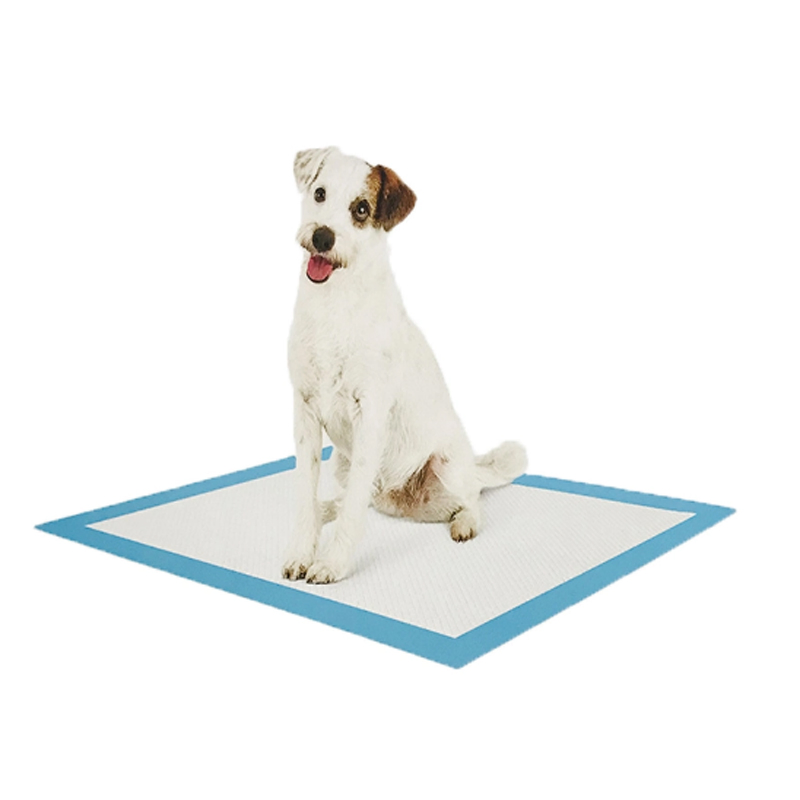 Non-Woven Fabric Pet Products for Easy Cleanup and Training