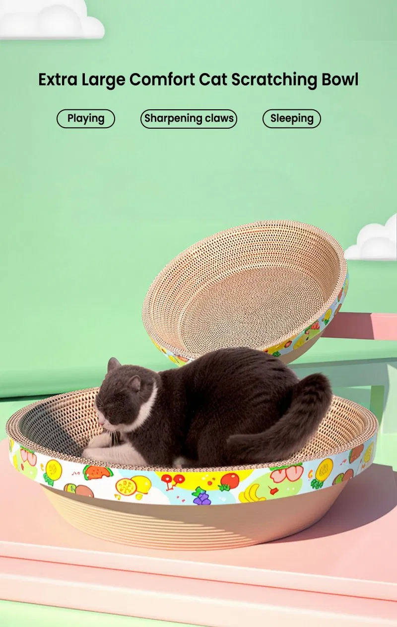 Cat scratcher display 2