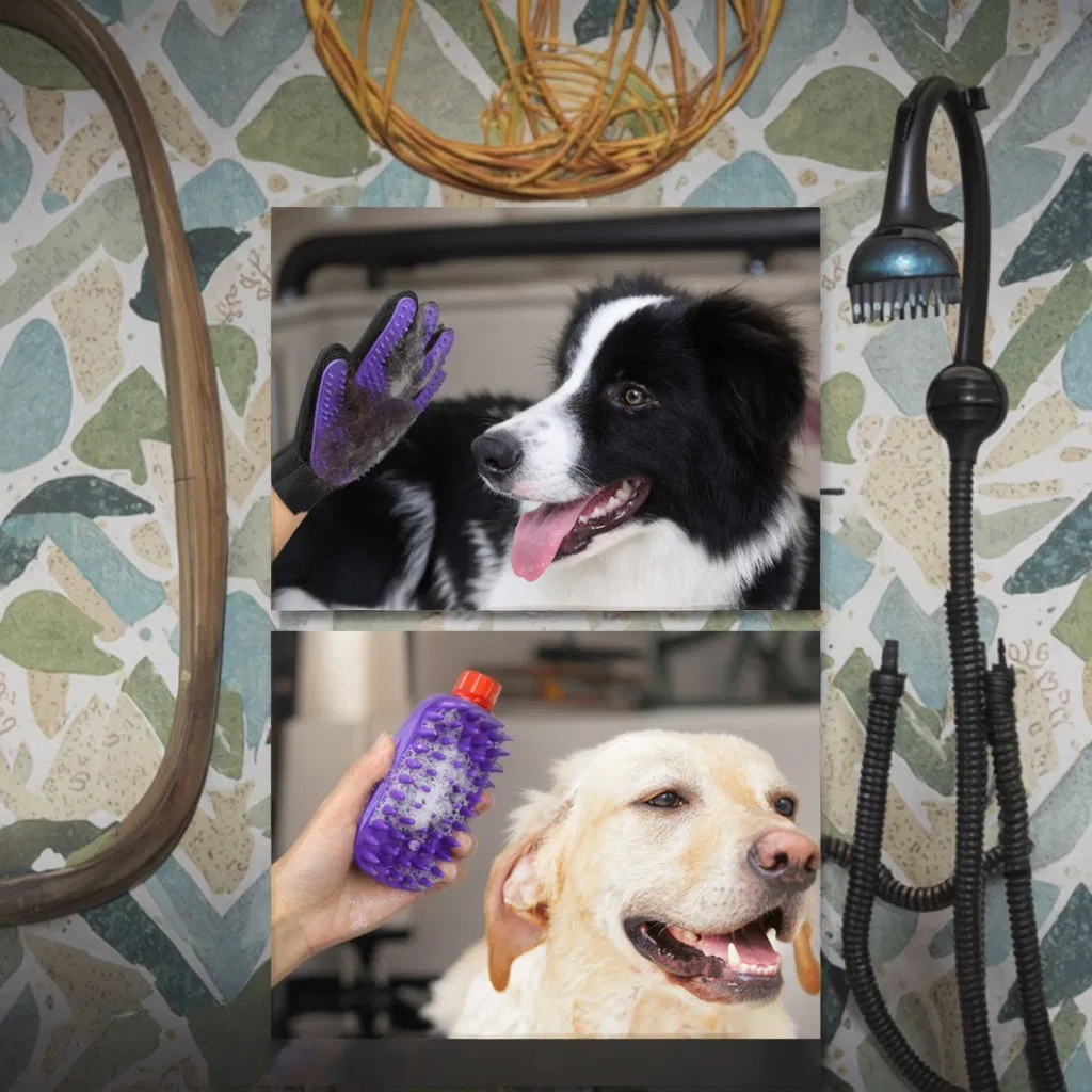 9-Piece Set of Pet Grooming Tools