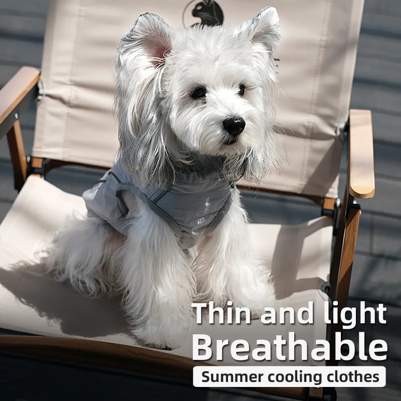 Cool and Comfy Dog Summer Apparel