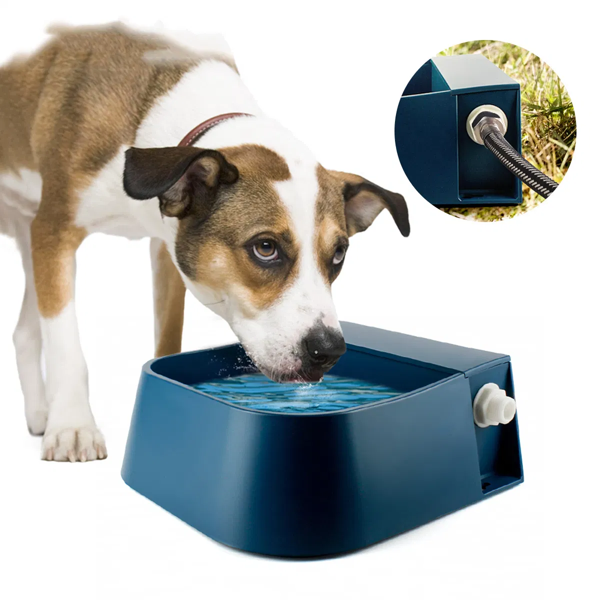 Pet Bowl Feeder Dog Bowl Automatic Storage Drinking Fountain Pet Food Basin Pet Supplies